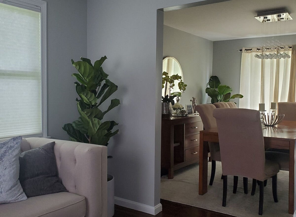 Clean dining room interior