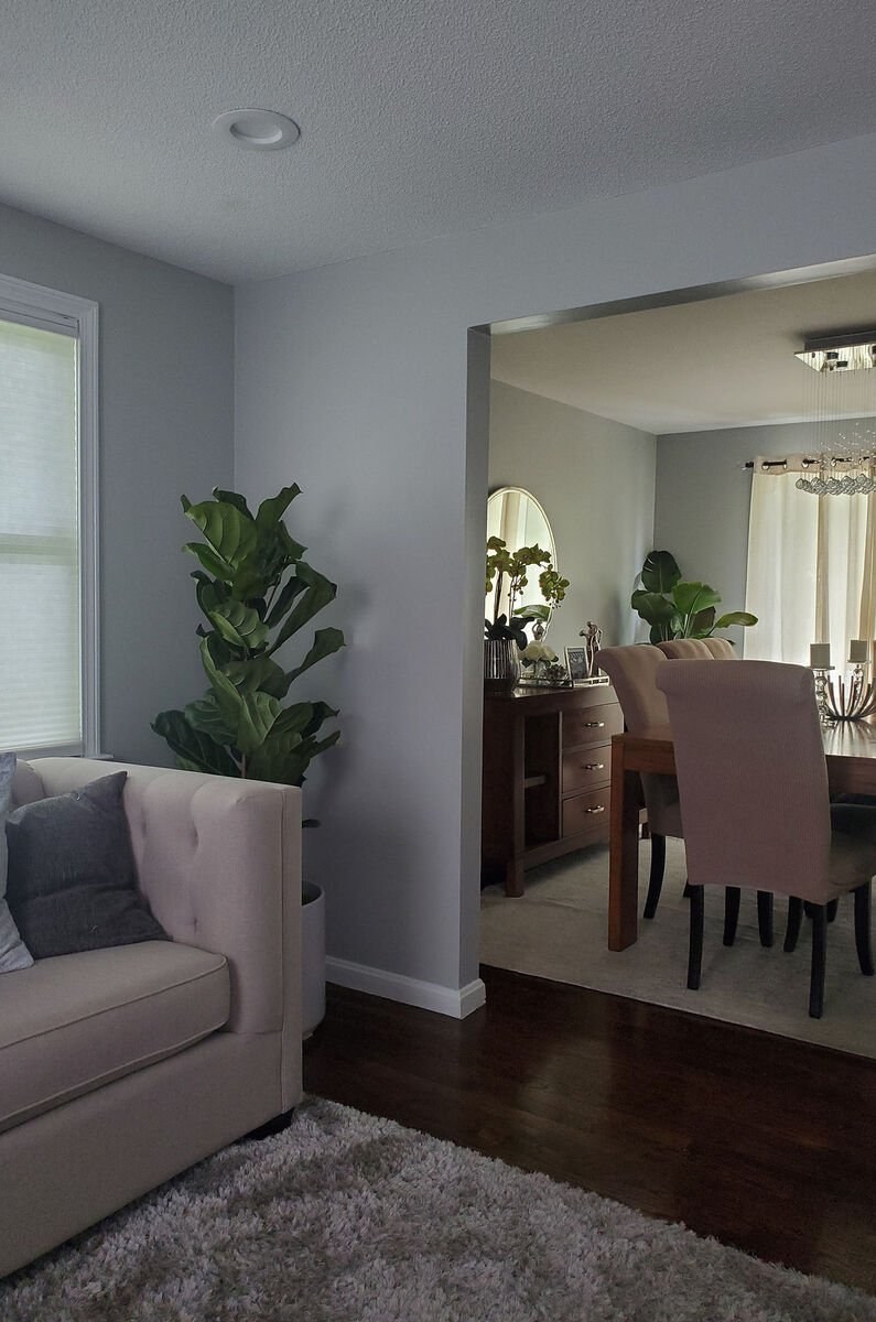 Freshly painted living and dining room interior