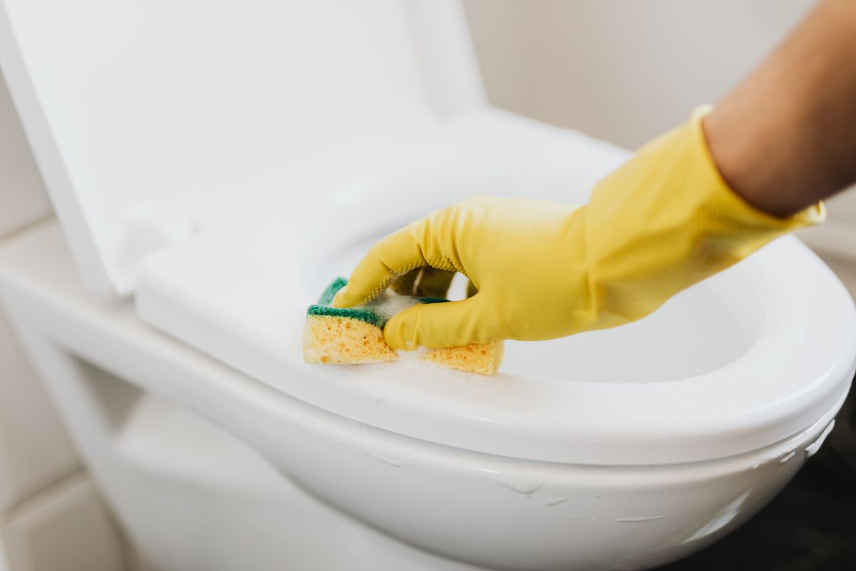 Gloved hand scrubbing a toilet with a sponge